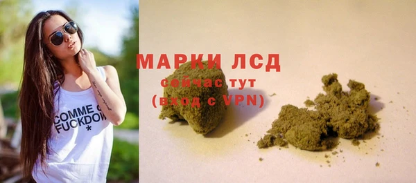 гидропоника Пересвет