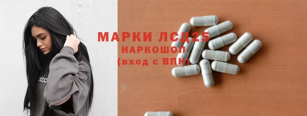ПСИЛОЦИБИНОВЫЕ ГРИБЫ Арсеньев